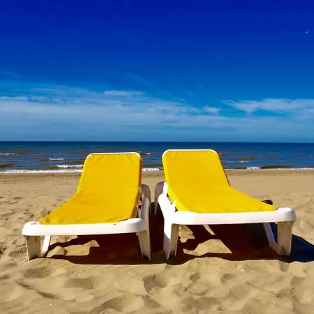 Reumann De Schelp 12