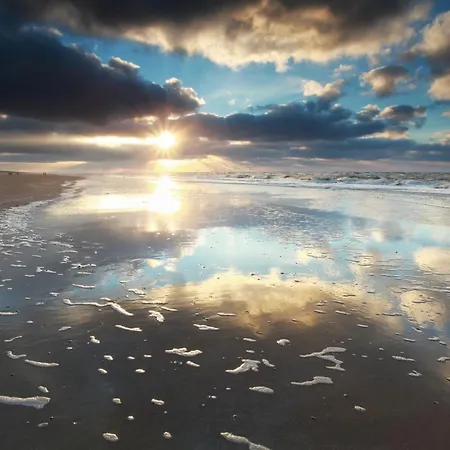 Reumann De Schelp 12