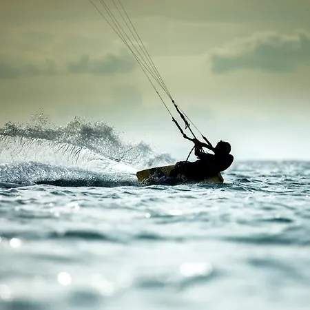 Reumann De Schelp 12 * Zandvoort