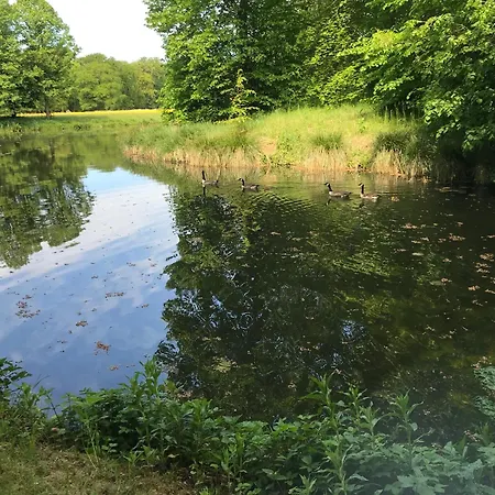 Apartmán Reumann De Schelp 12 *