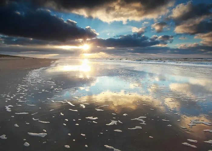 Reumann De Schelp 12