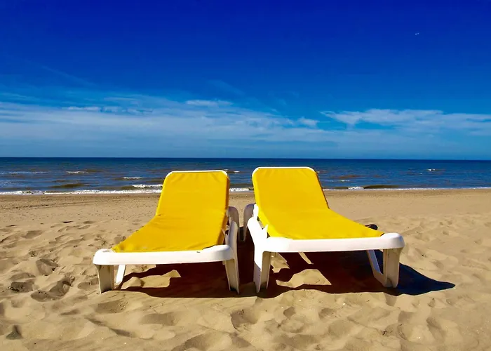 Reumann De Schelp 12