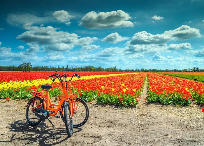 Апартаменты Reumann De Schelp 12 *