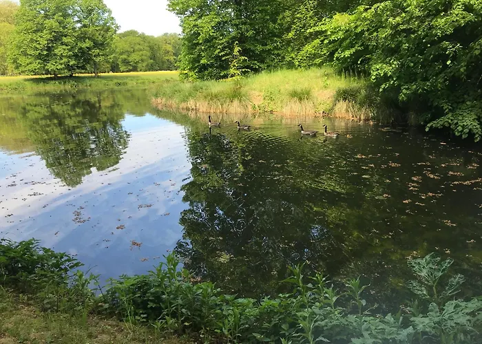 Апартаменты Reumann De Schelp 12 *